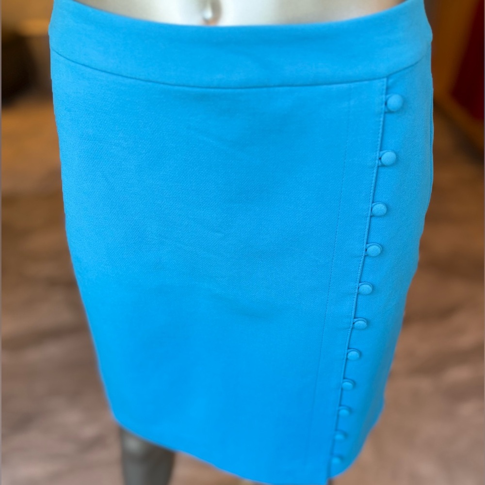 Elegant Blue Skirt